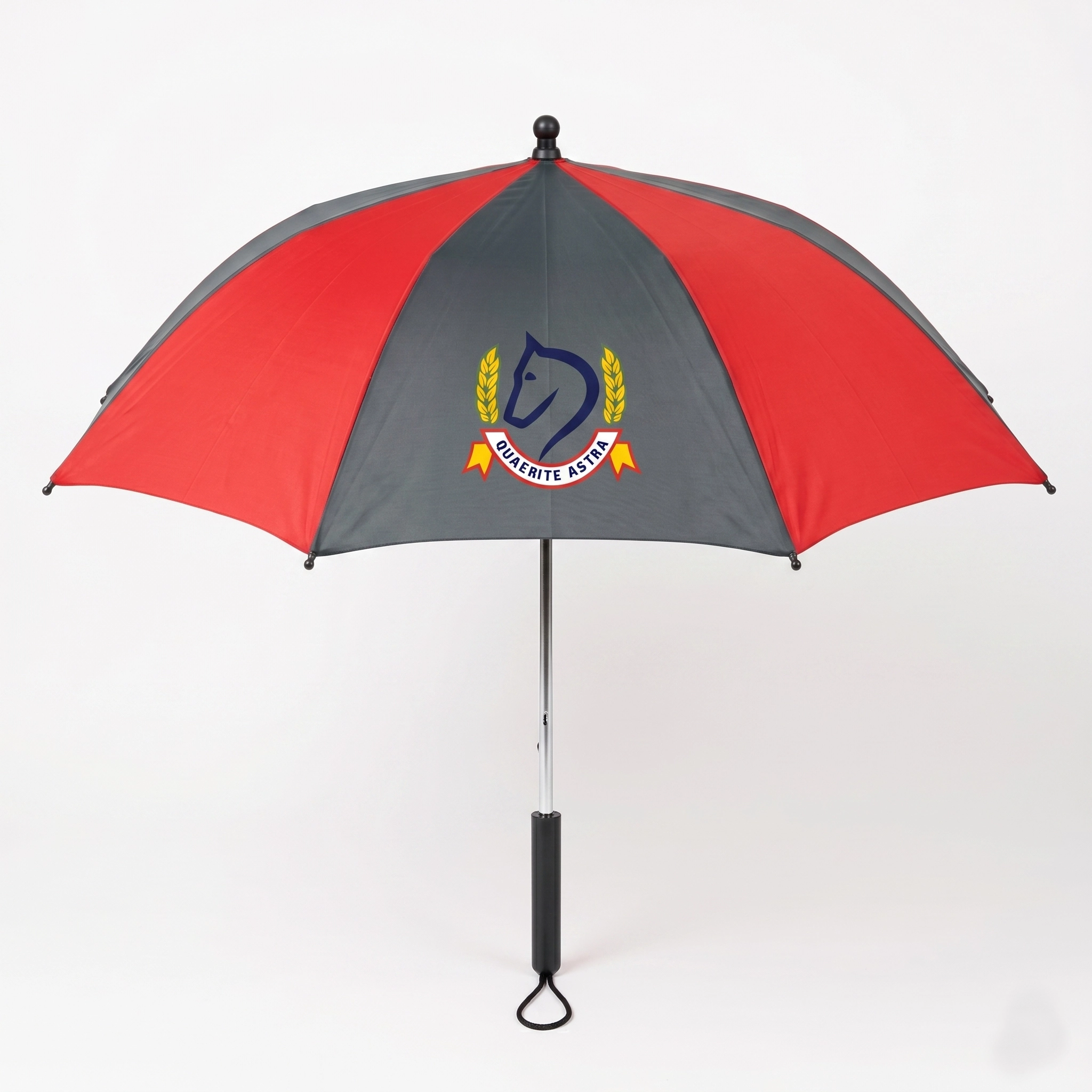 BPS UMBRELLA OPEN BPS Umbrella - Image 1